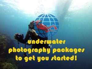 UW Photography | Dive Funatics