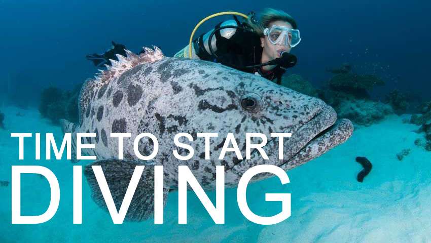 Time to start diving | Dive Funatics