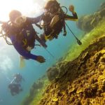 Learn to scuba dive in 2 days!